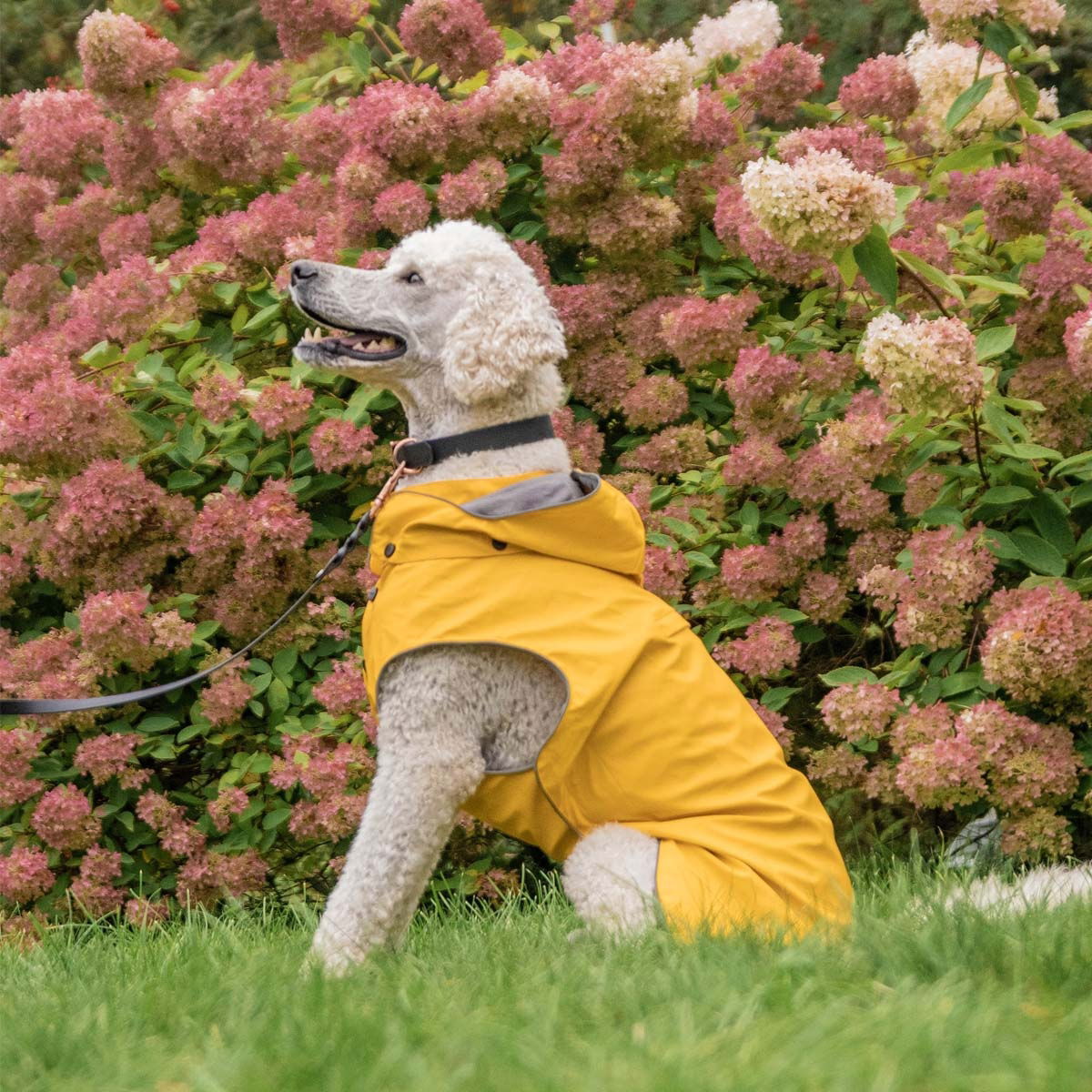 Rukka Stream sadetakki keltainen