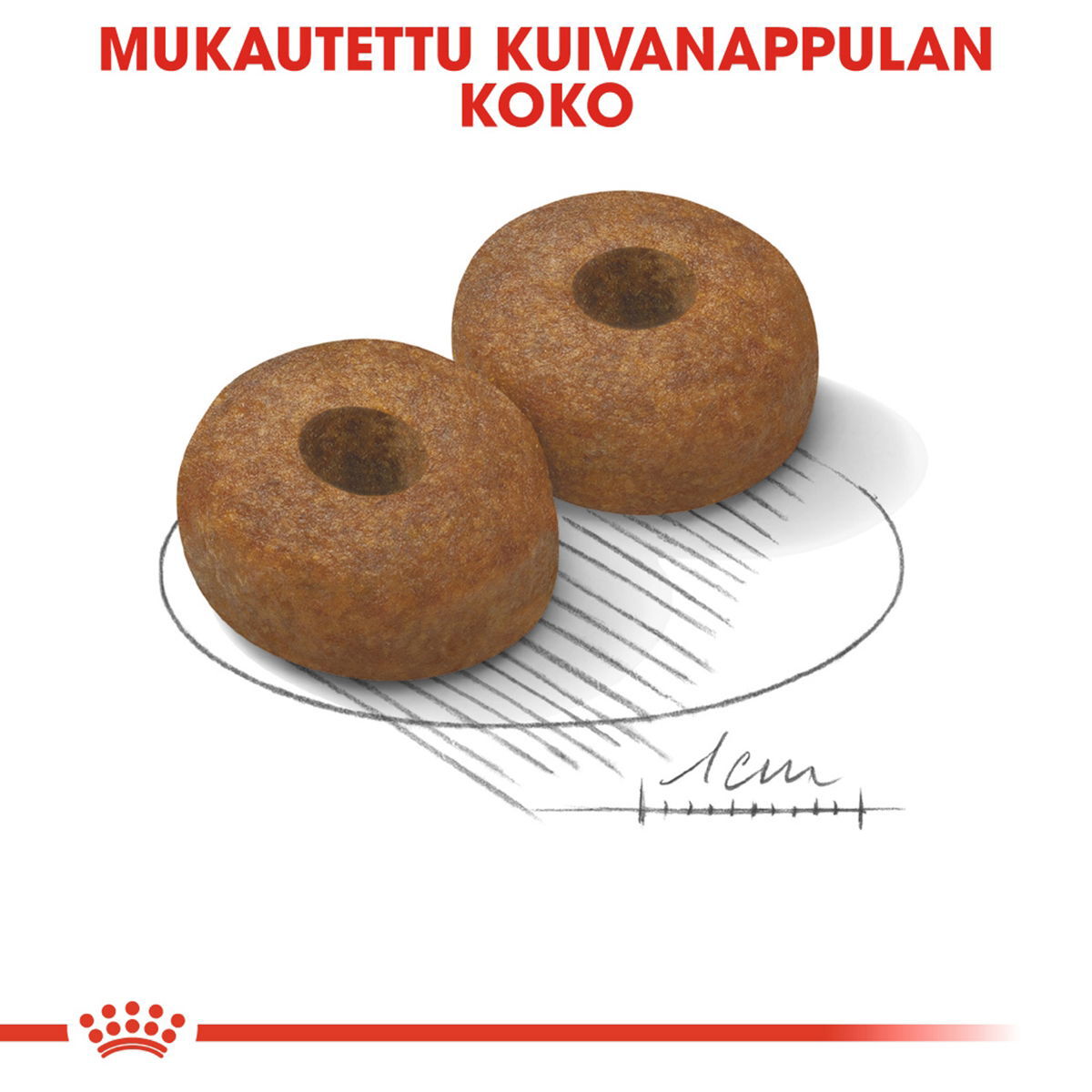 Royal Canin Maxi Ageing 8+ koiran kuivaruoka