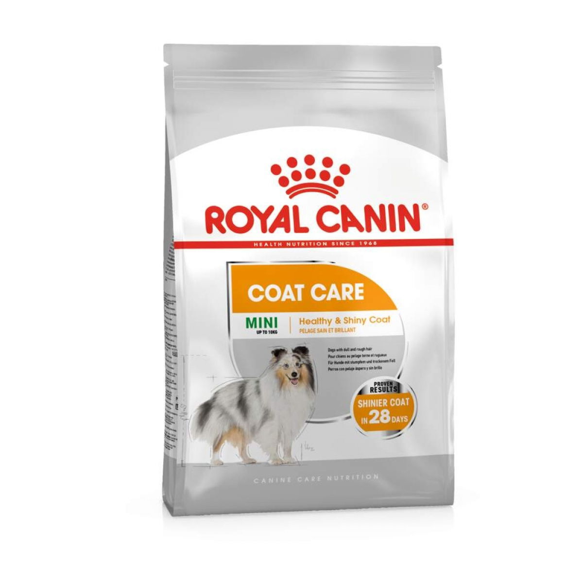 Royal Canin Coat Care Mini Adult koiran kuivaruoka