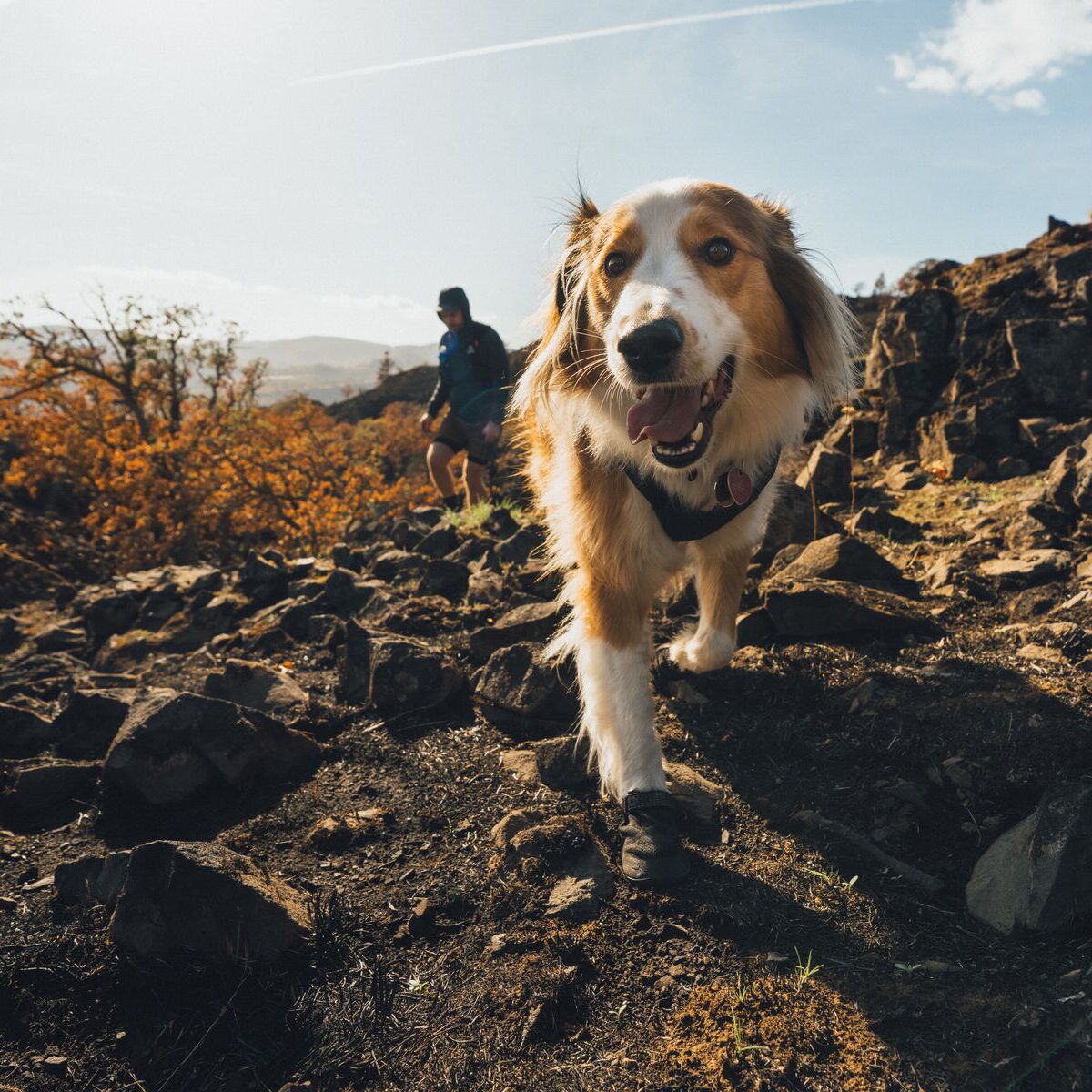 Ruffwear Ridgeline Shoes Obsidian Black