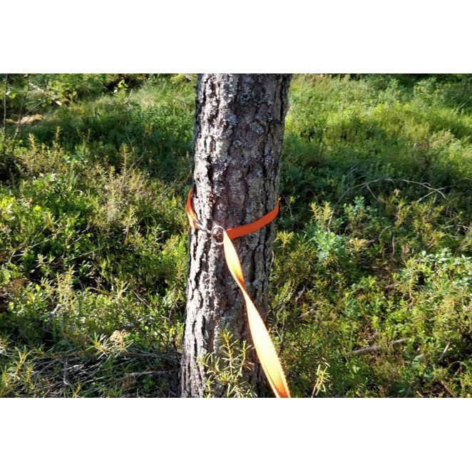 Heijastintalutin Iita, Kardog