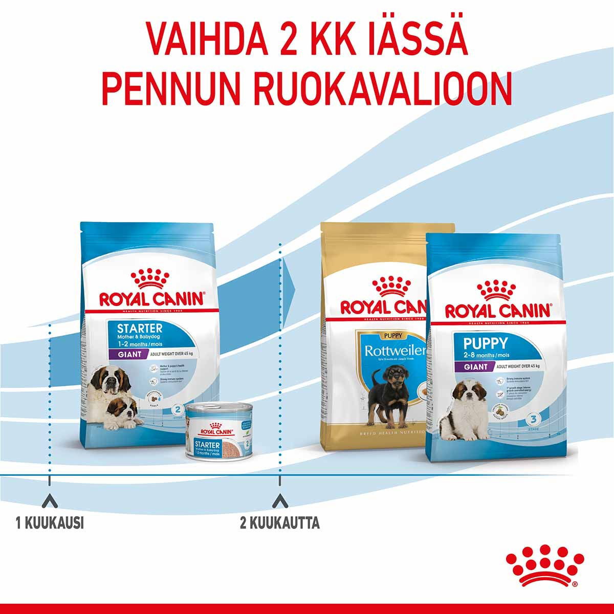 Royal Canin Giant Starter
