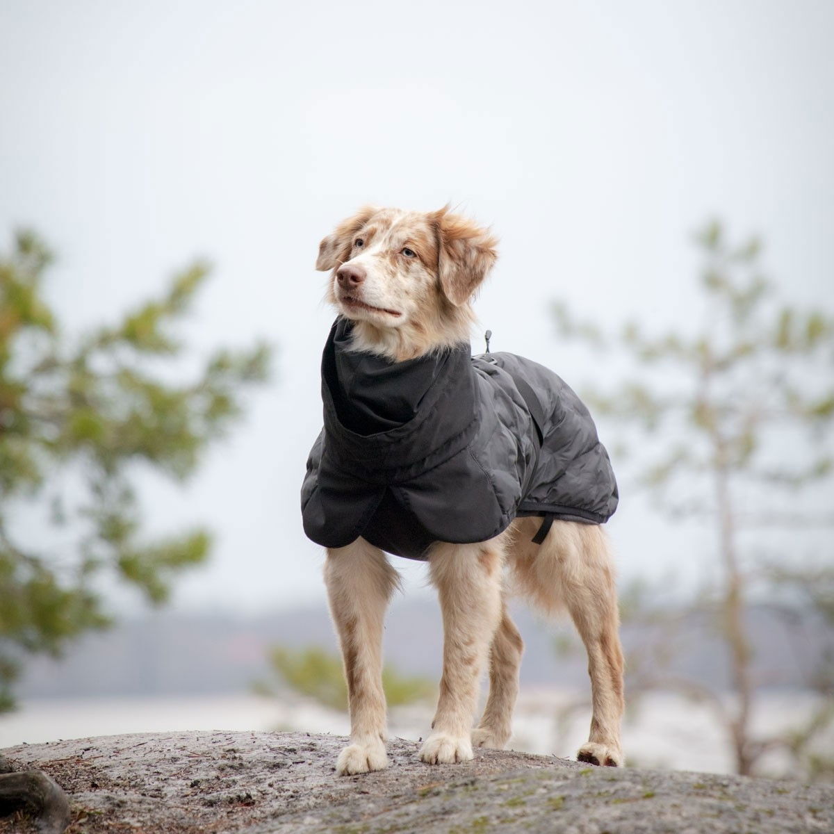 Feel Active Haga parka takki musta