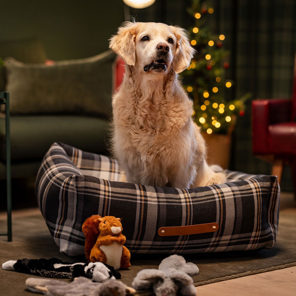 Little&Bigger Woodland Friends orava