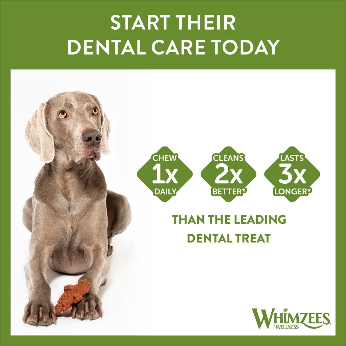 Whimzees krokotiili M 12kpl