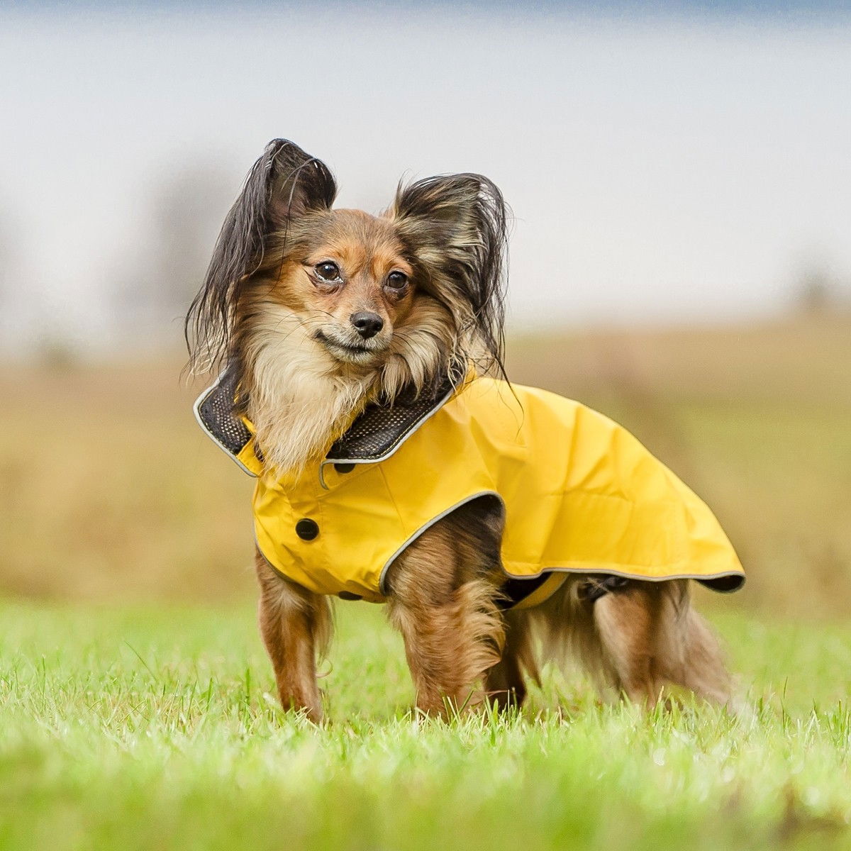 Rukka Stream sadetakki keltainen