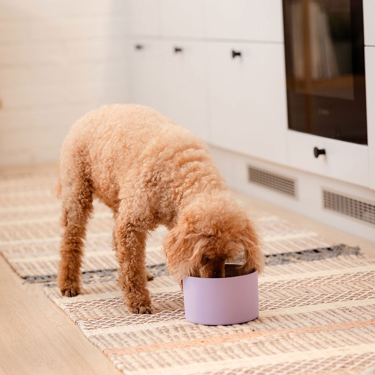 Basic DoubleWall kuperapohjainen metallikuppi liila