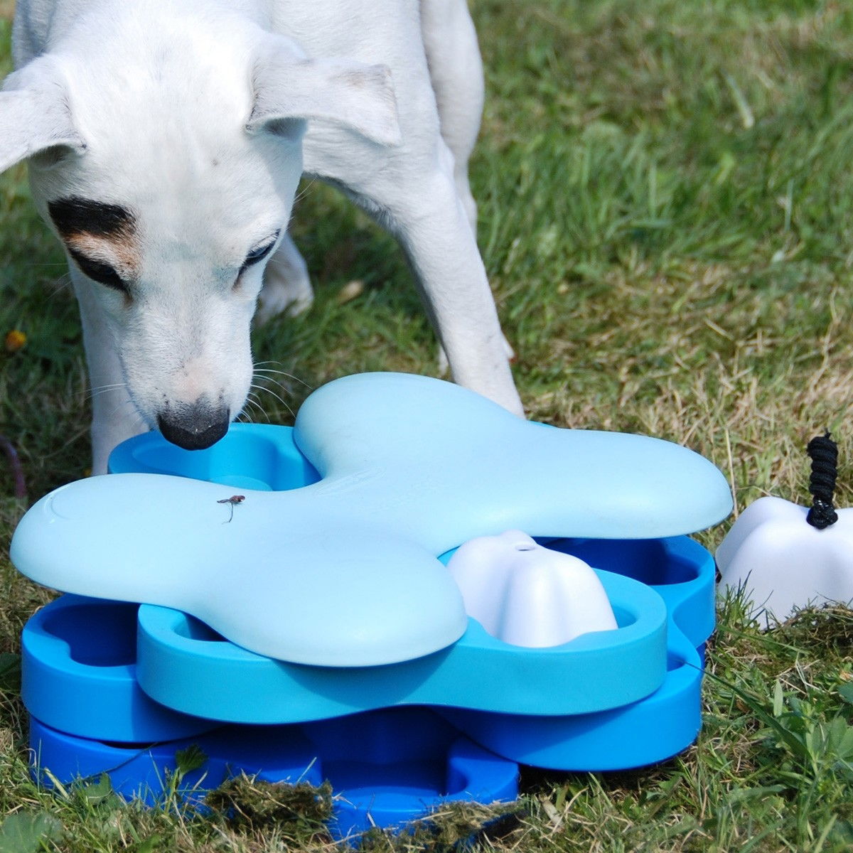 Nina Ottosson Dog Tornado -aktivointilelu sininen