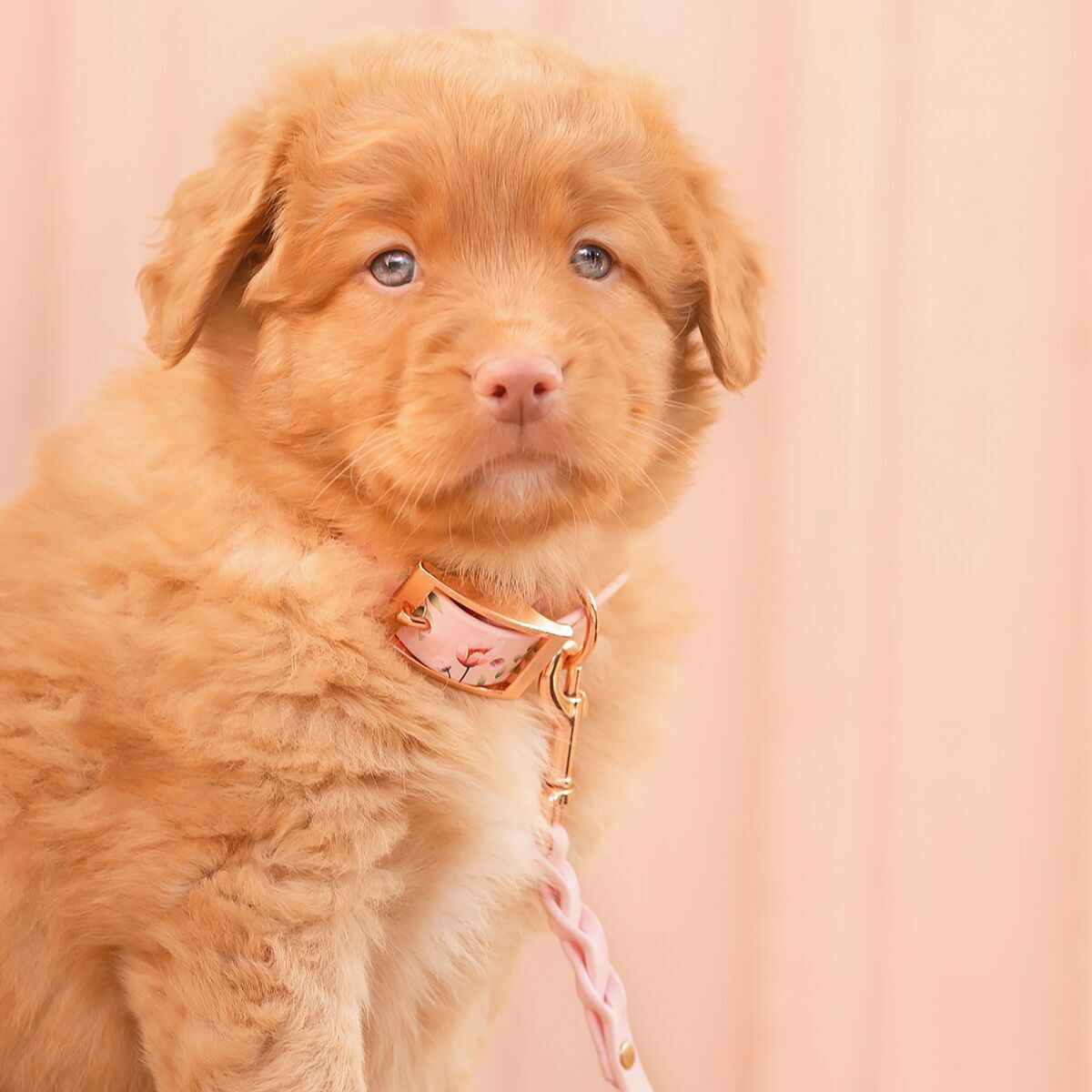 Tyylivoitto Unique collar Floral Fawns