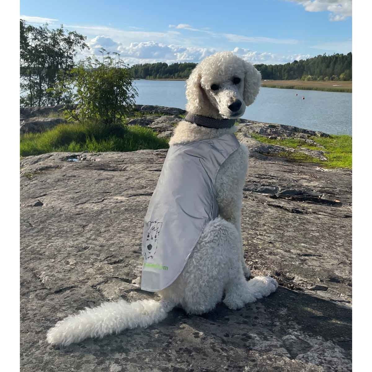 Icepeak Pet Brightly visibility vest Peten