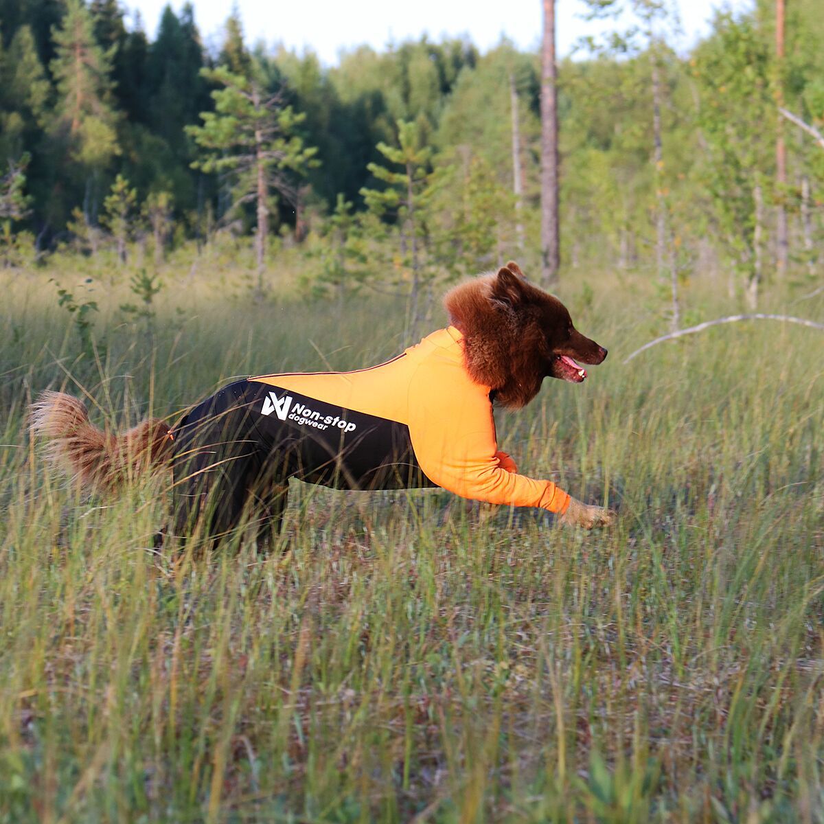 Non-stop dogwear Protector puku M oranssi/musta