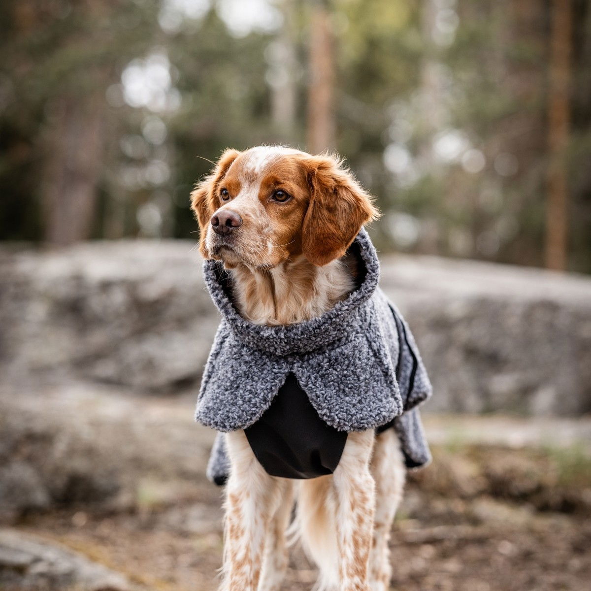 Feel Active Pokka takki harmaa