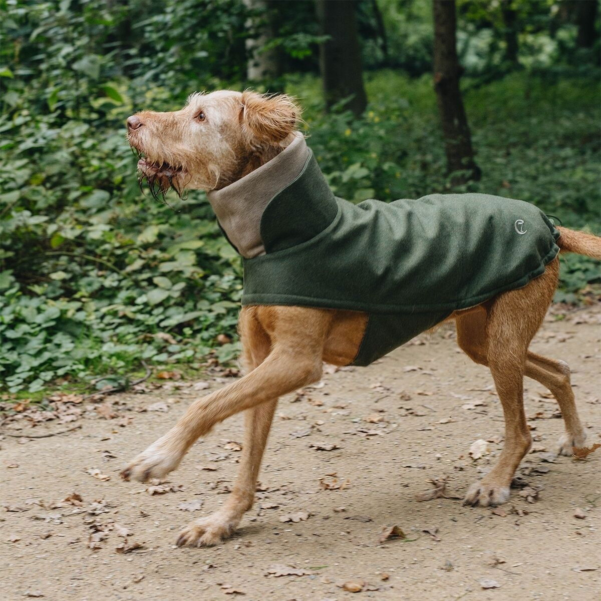 Cloud7 Brooklyn Flannel, Fern Green