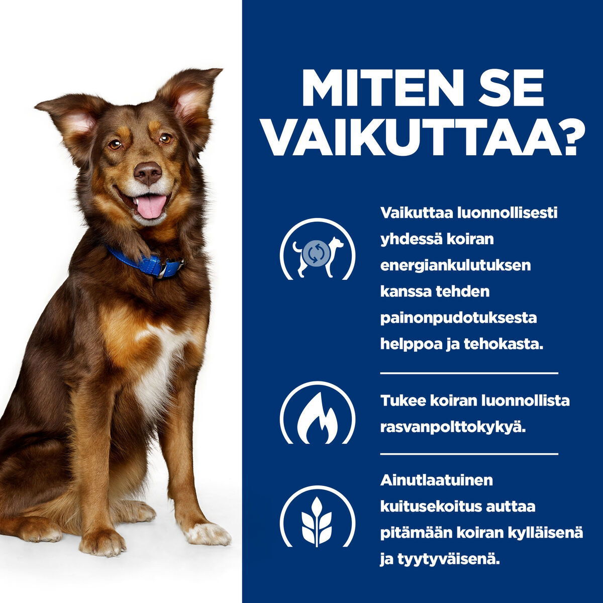 Hill's PD Canine Metabolic 370g