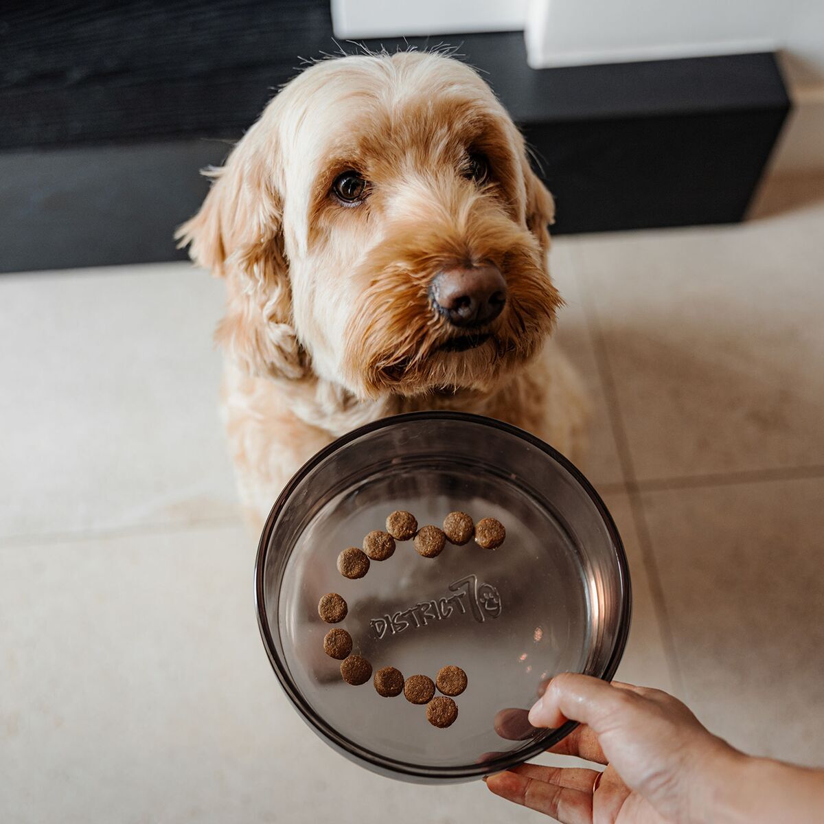 Glass bowl District 70, Dawn Black