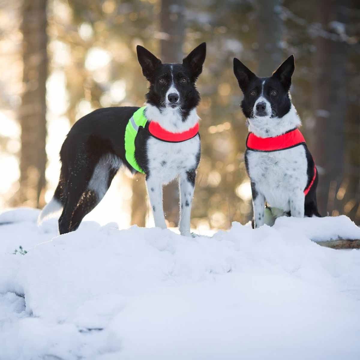 FinNero Ukko metsästysliivi