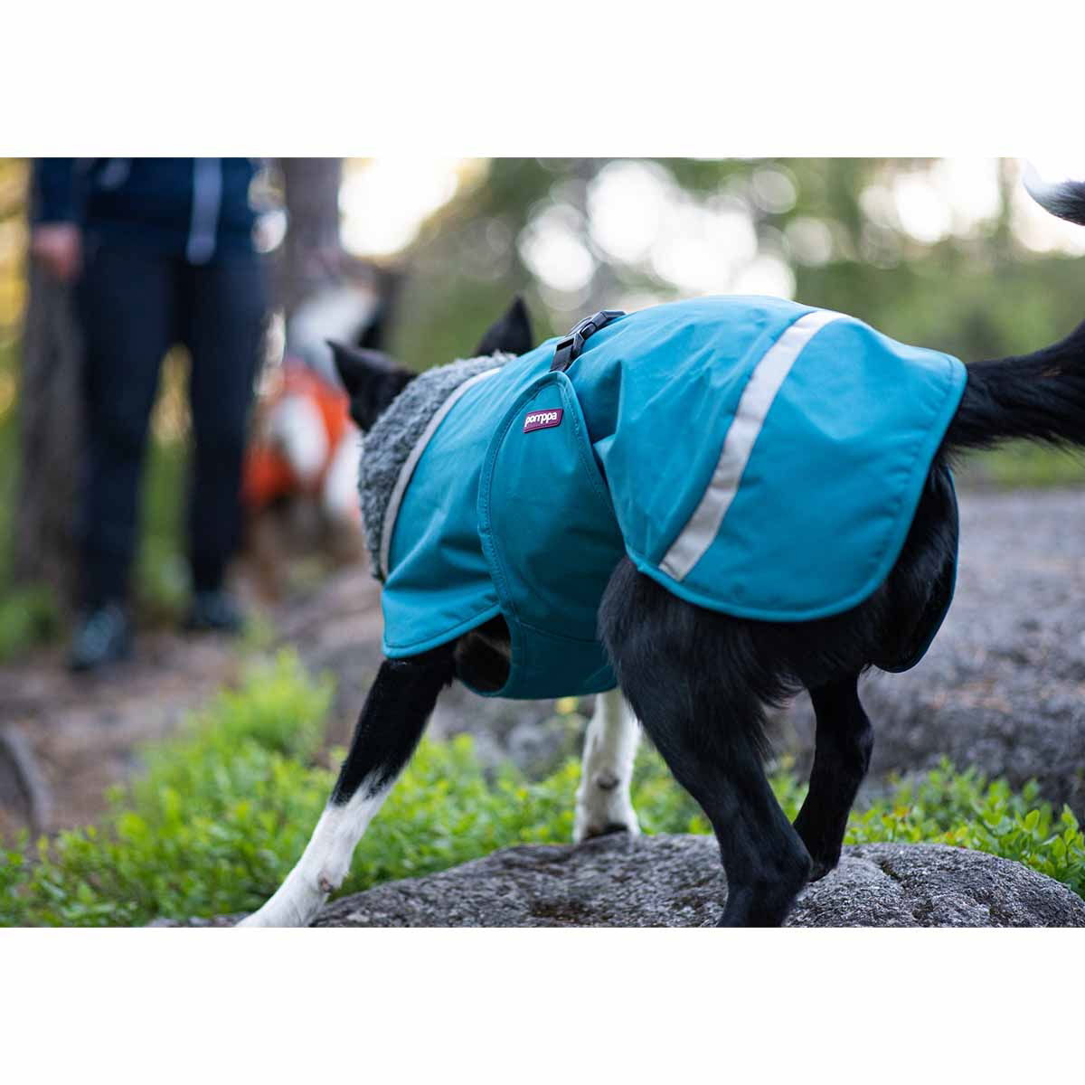 PerusPomppa koiran takki, petrooli