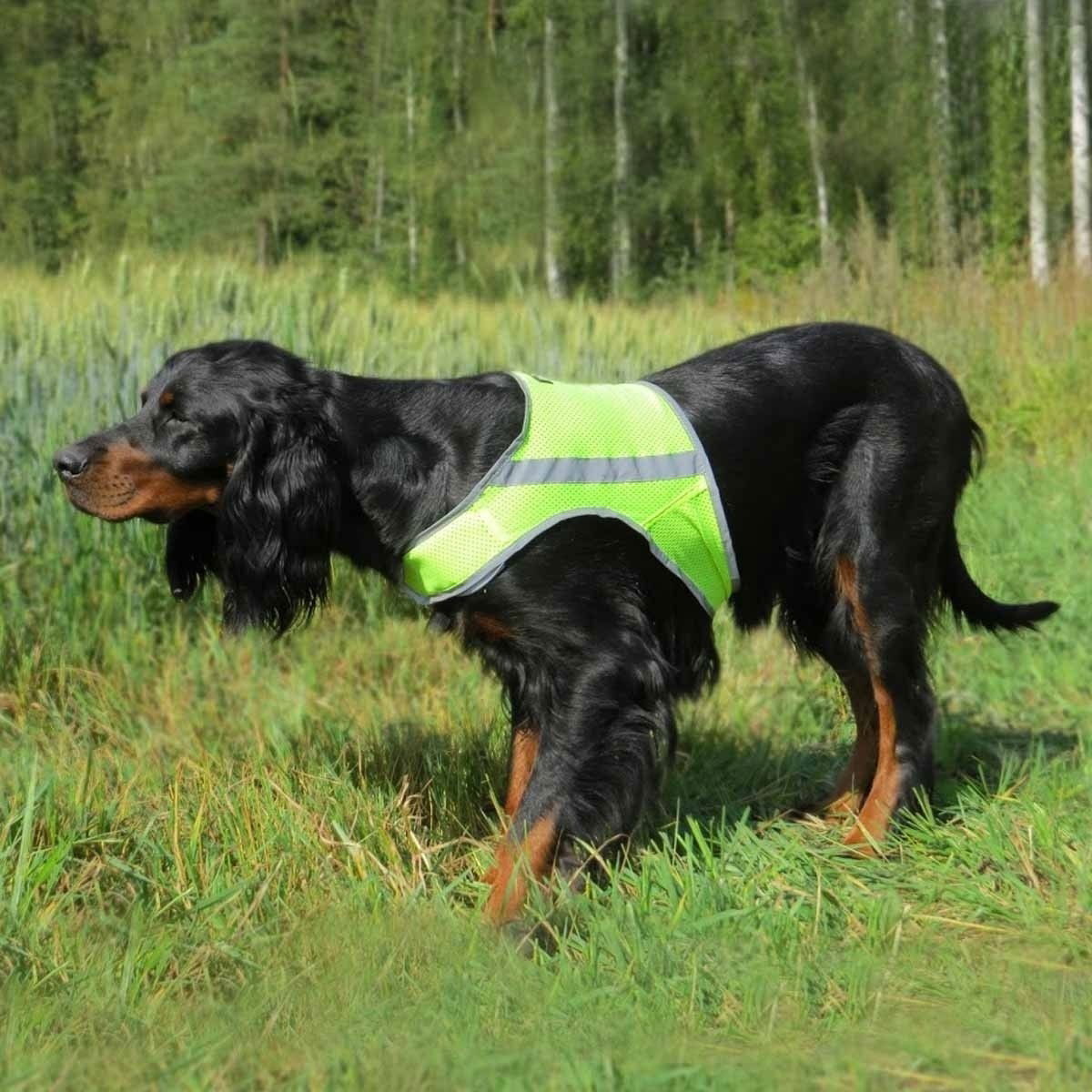 FinNero Atte huomioliivi, keltainen