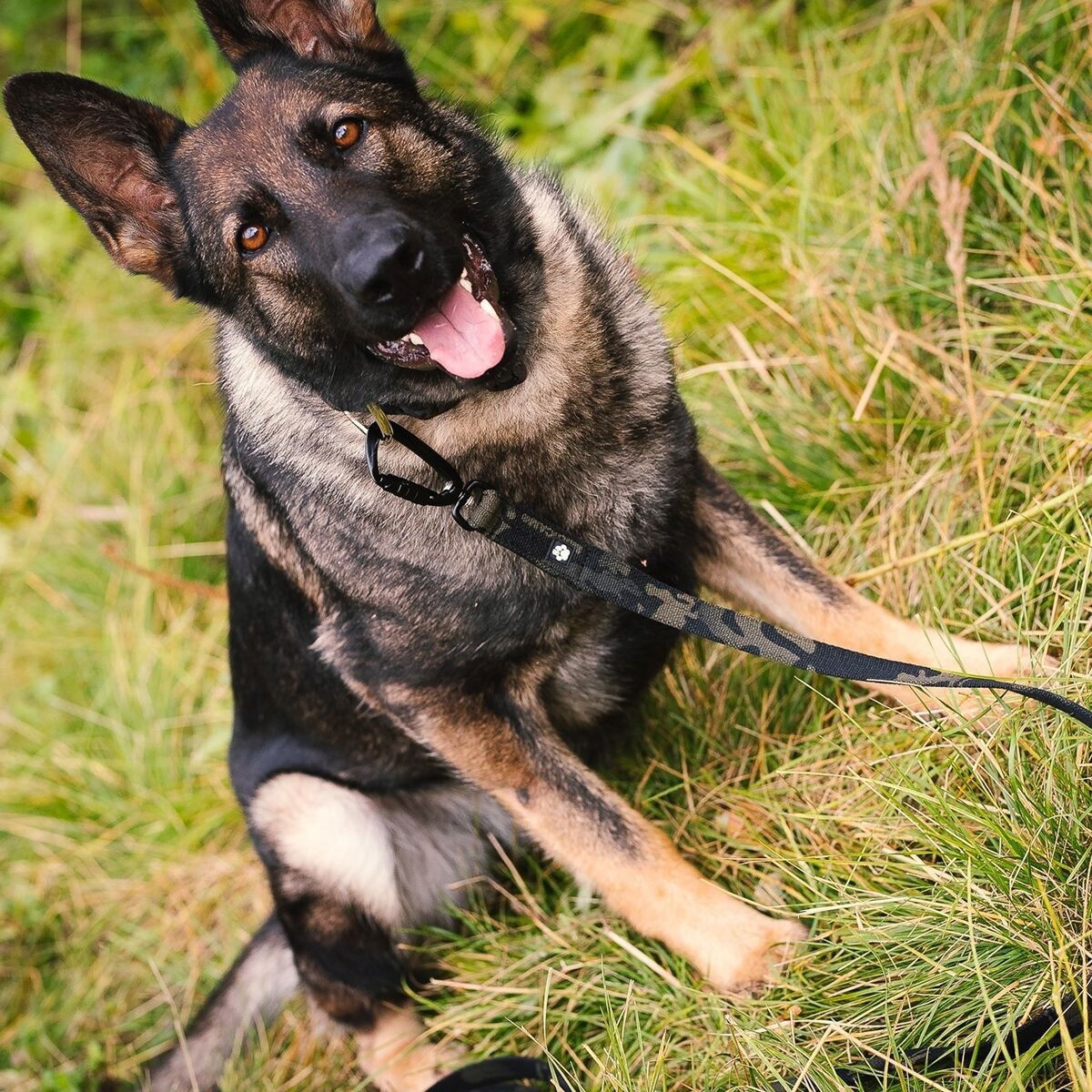 Salmiakkitassu multicam leash with twistlock, 250cm