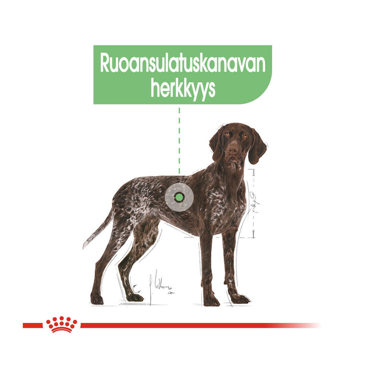 Royal Canin Maxi Digestive Care