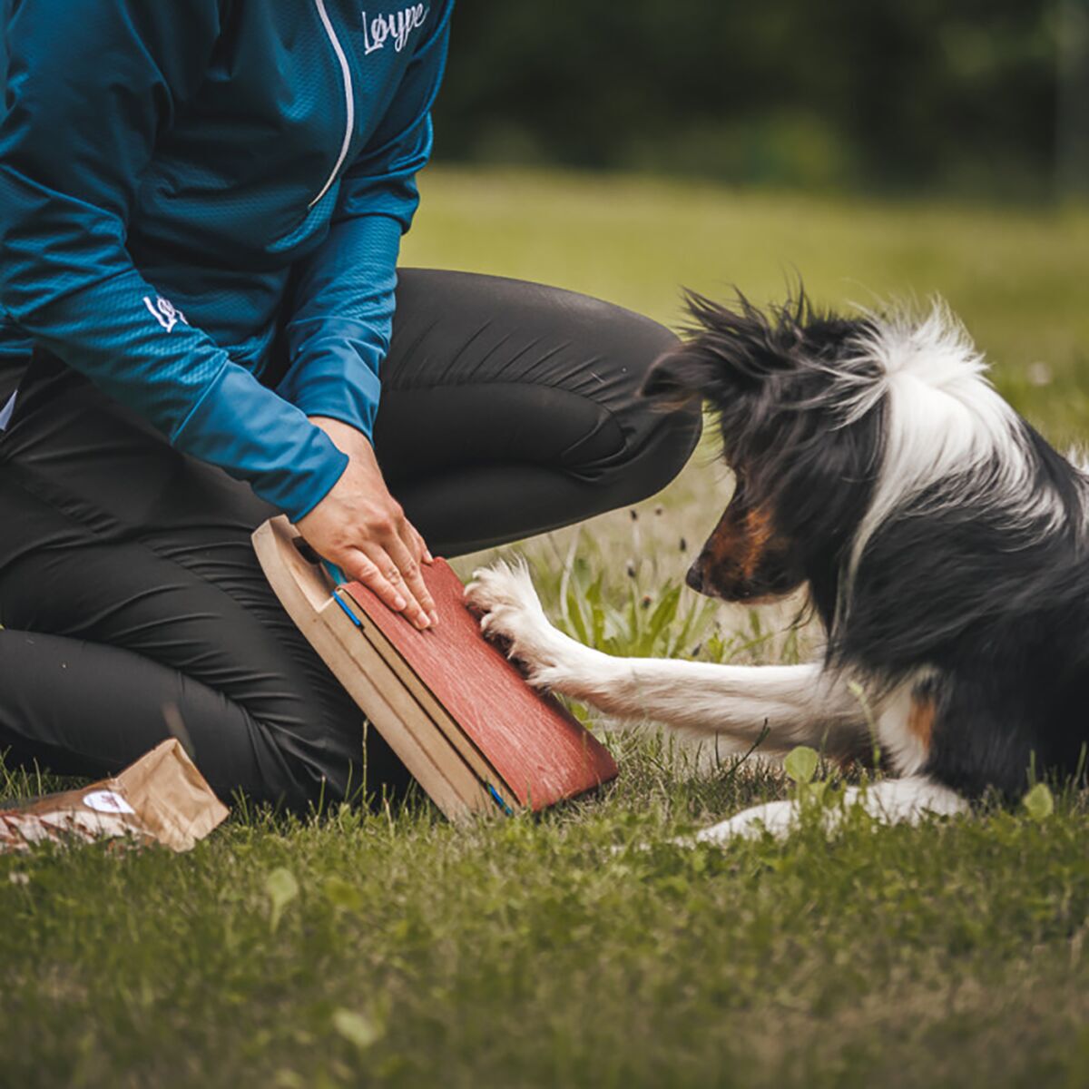 Loype Mani-Pedi Dog Scratcher