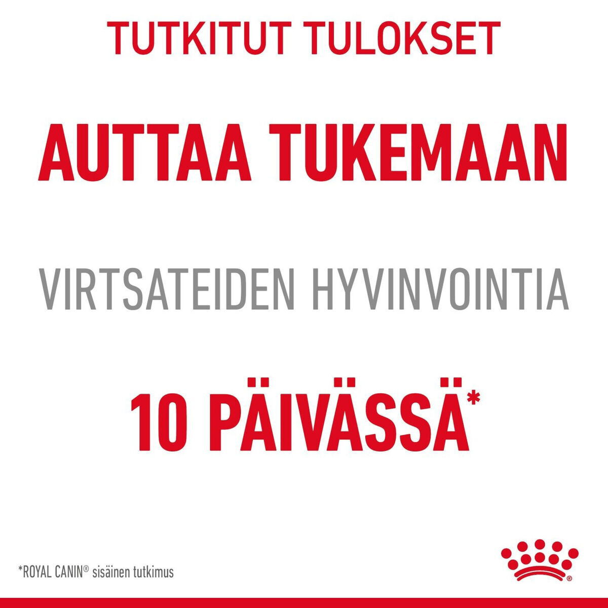 Royal Canin Urinary Care Adult kissan kuivaruoka