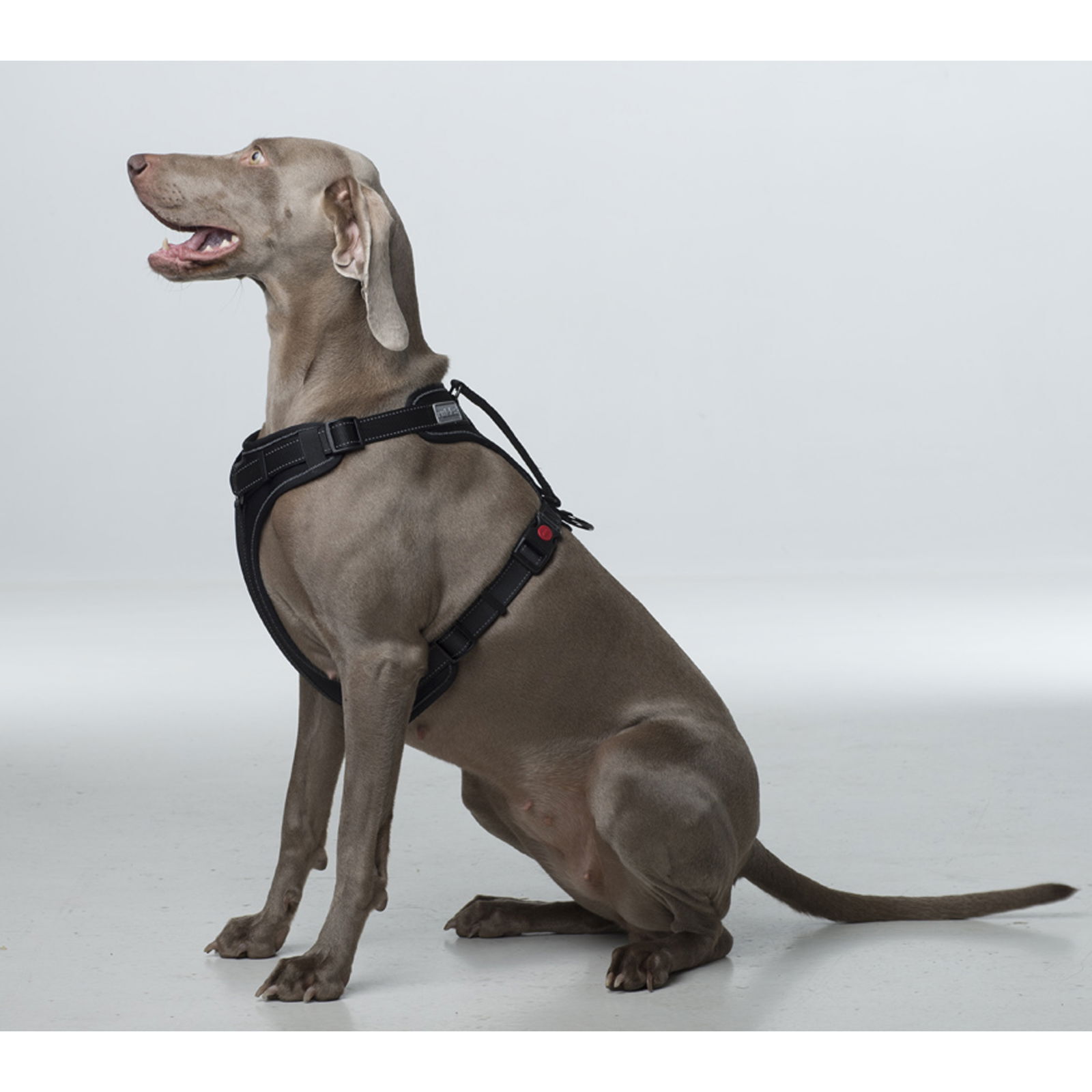 Rukka Solid valjas pinkki