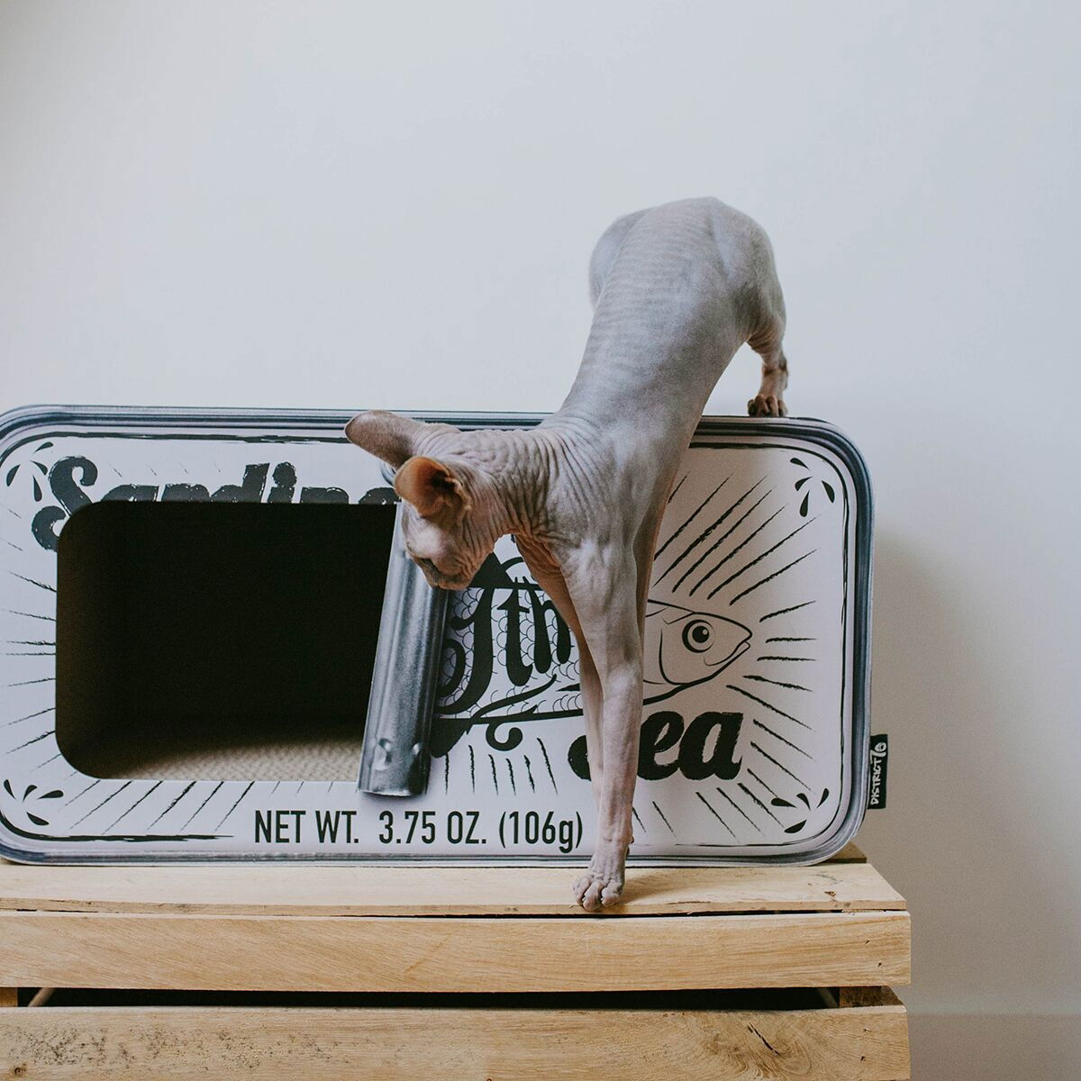 Cardboard scratcher District 70 Sardine