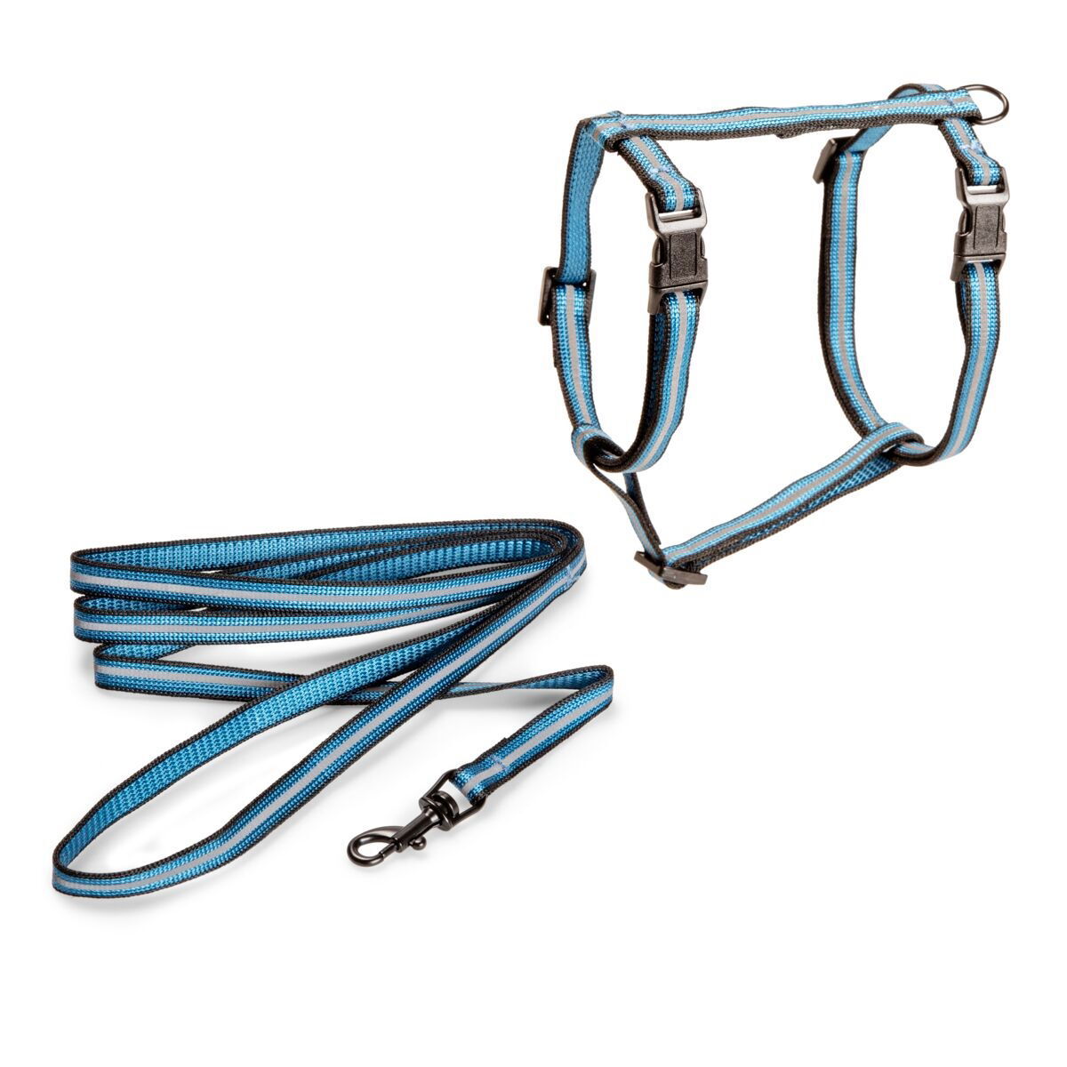 Basic Cat Reflective valjassetti kelt