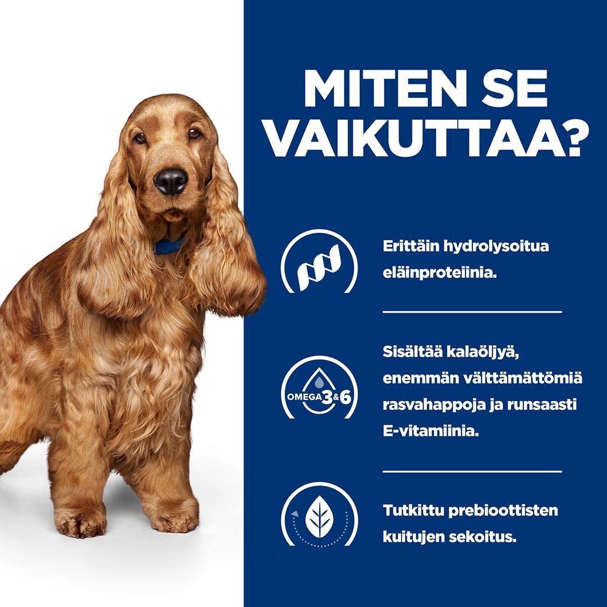 Hill's PD Canine z/d 370g