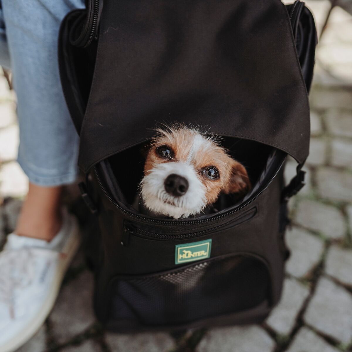 Hunter Dog Flight Bag and Backpack Miles Black