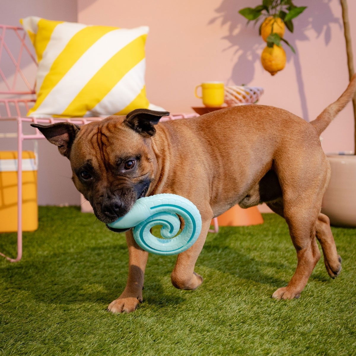 Little&Bigger TPR Snake käärme kerällä turkoosi