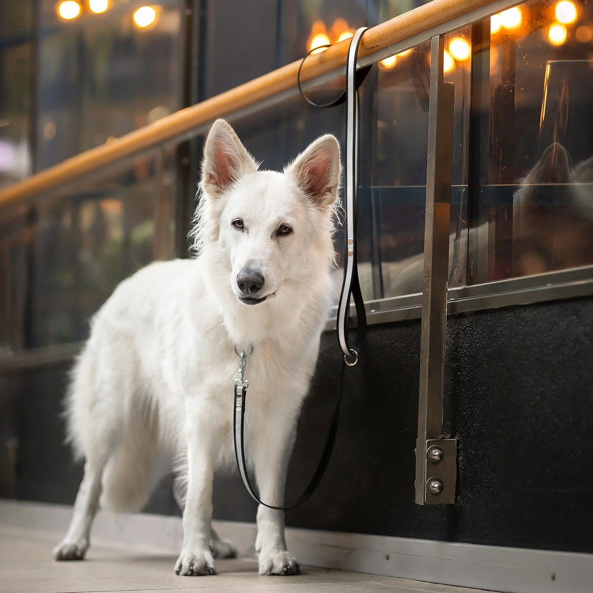 Heijastintalutin Tyylivoitto Shine Eazy, musta