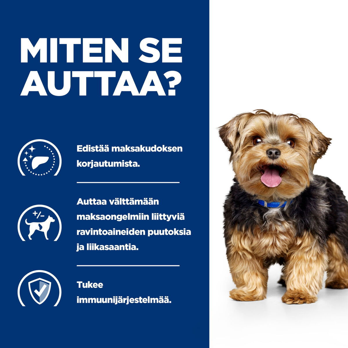 Hill's PD Canine l/d 370g