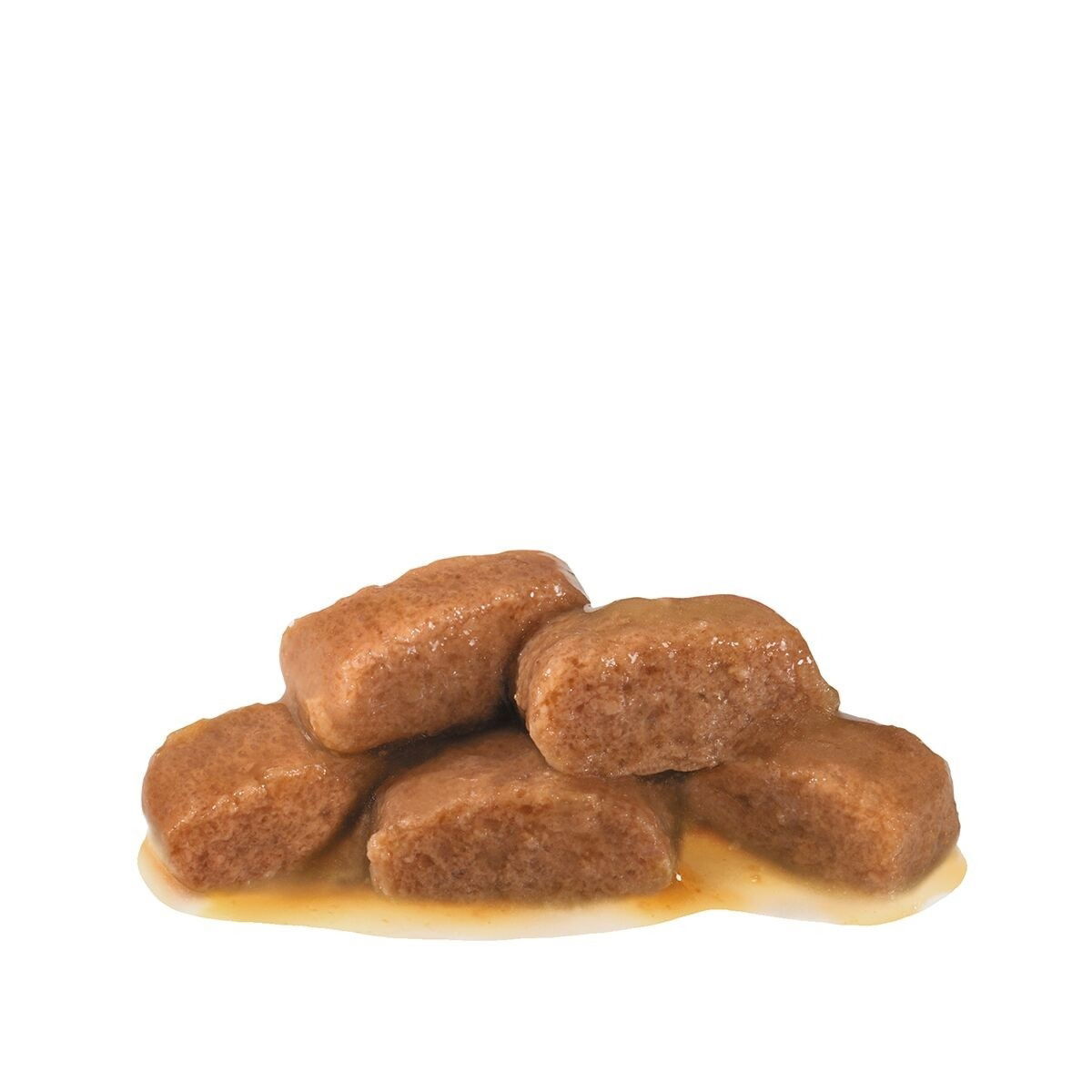 Royal Canin Veterinary Diets Gastrointestinal Fibre Response Morcels in Gravy Pouch kissan märkäruok