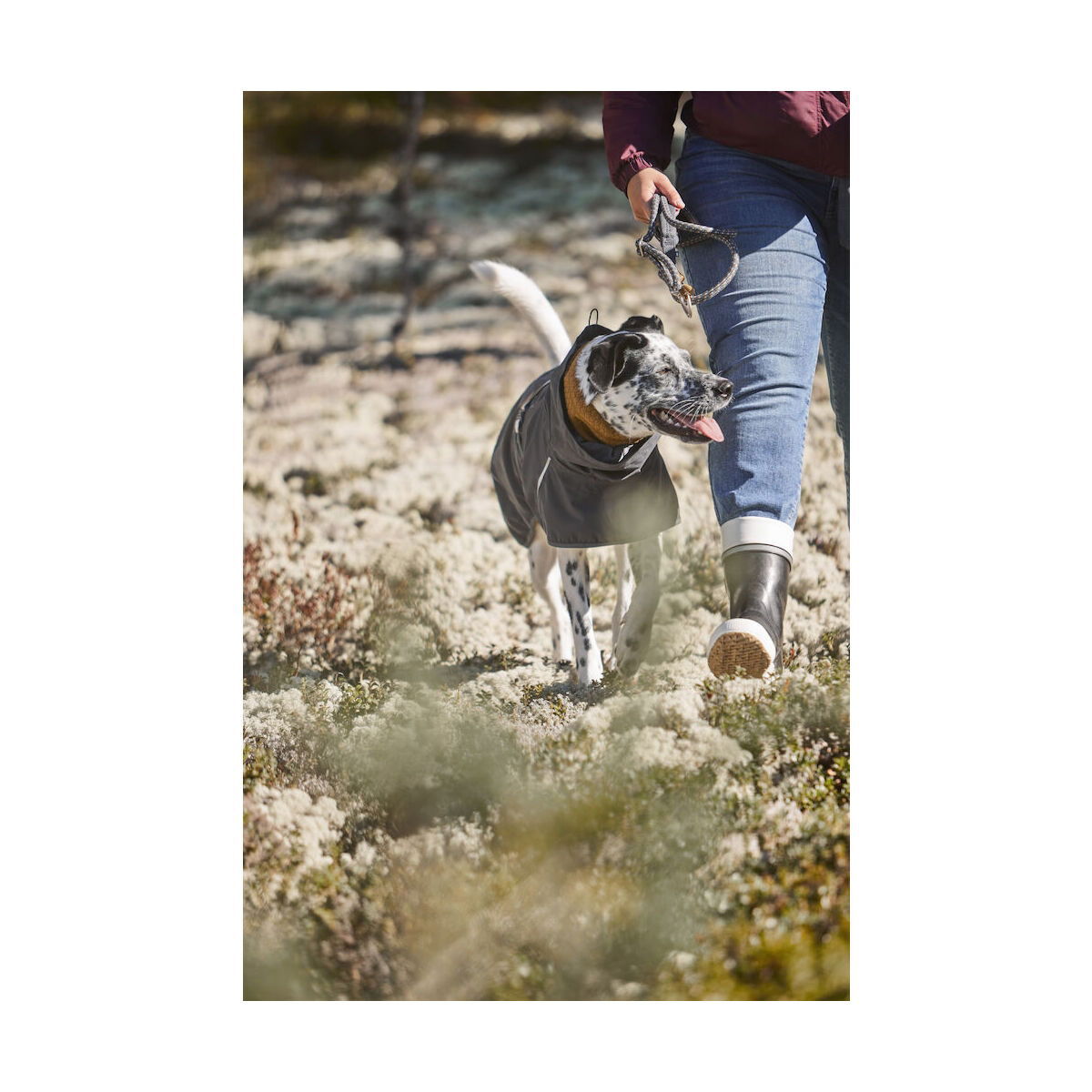 Hurtta Mudventure ECO sadetakki harmaa