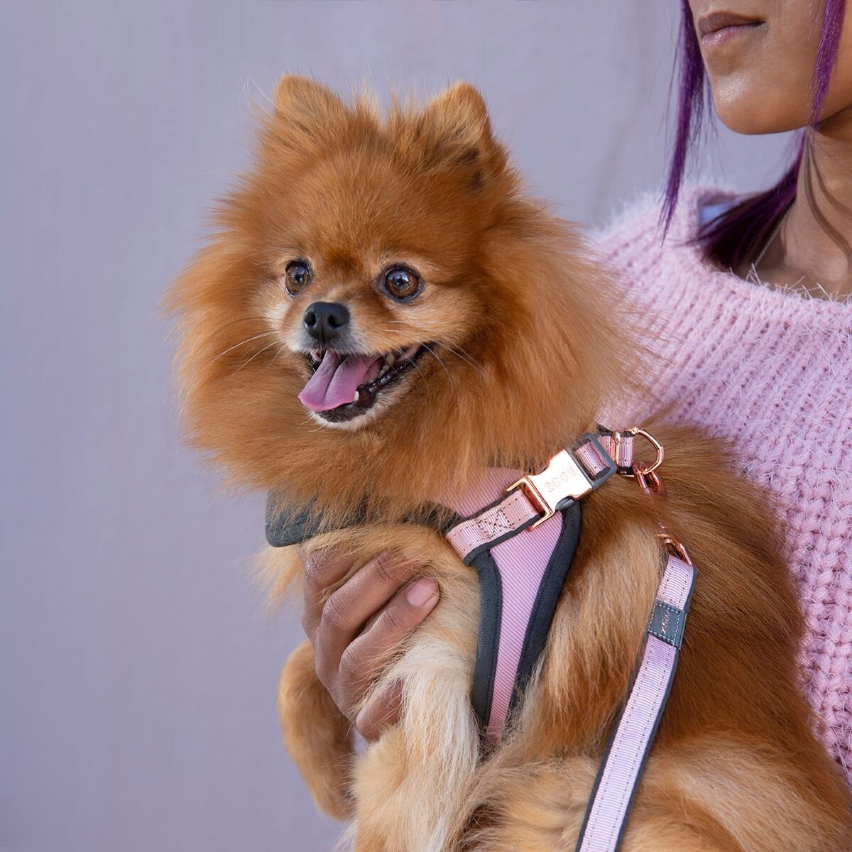 Rogz Urban Fast-Fit harness, rose