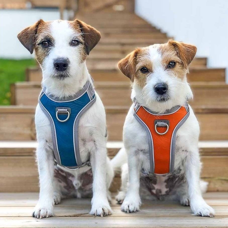 Koiran valjaat Hurtta Venture, tyrni