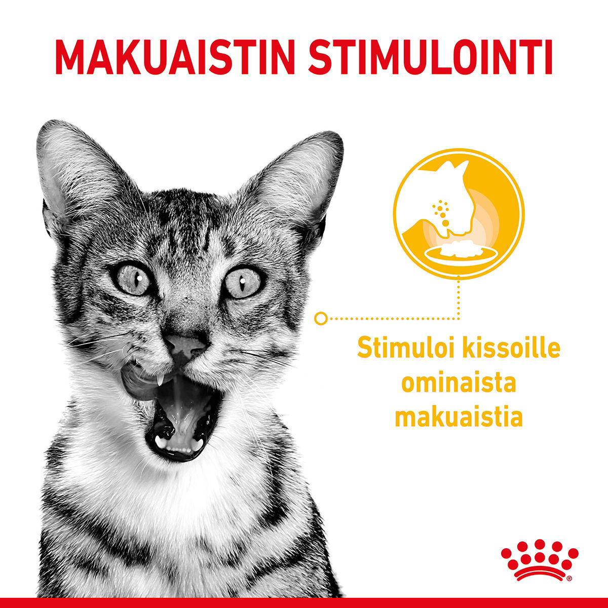 Royal Canin Sensory Taste Gravy Adult kissan märkäruoka