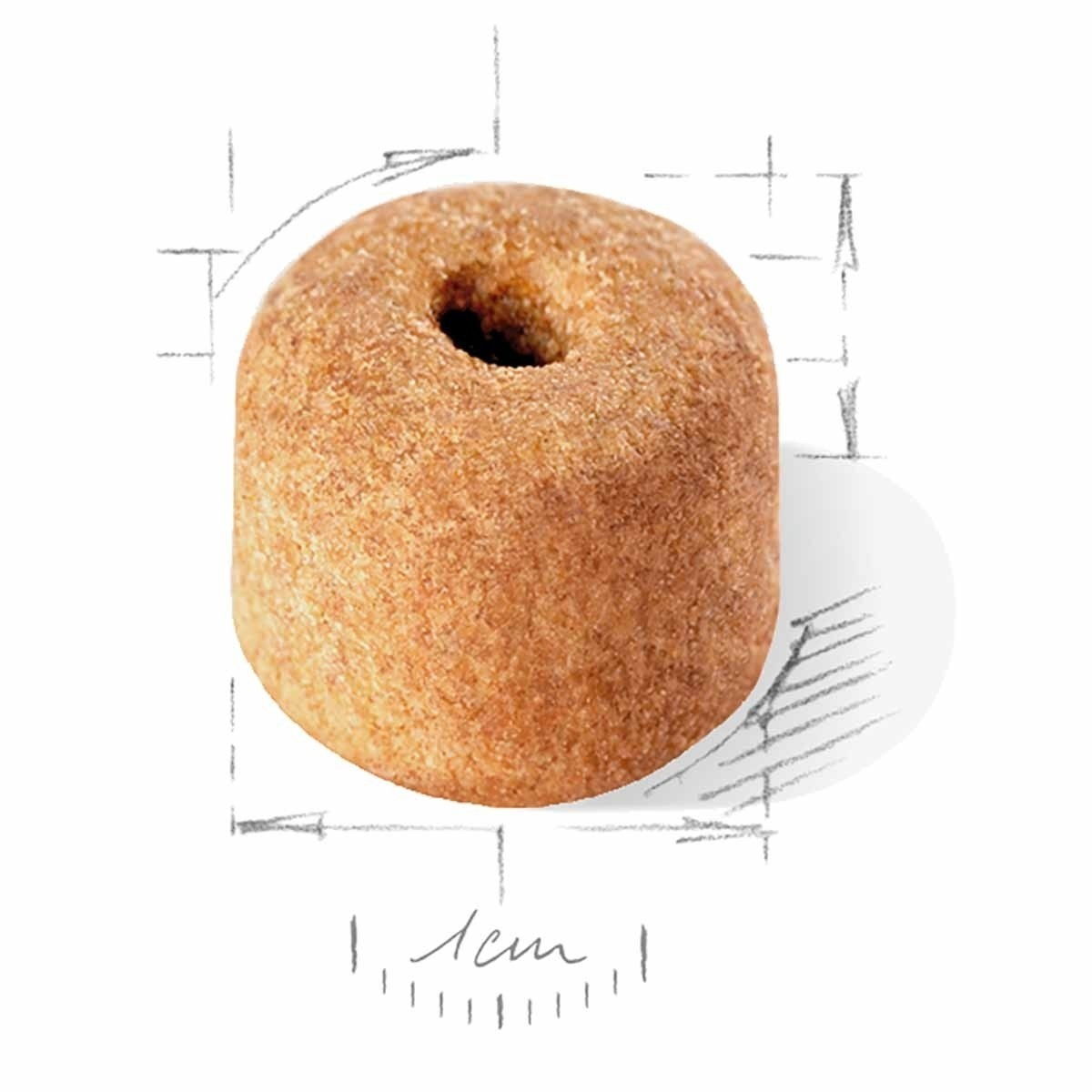 Royal Canin Labrador Retriever Adult 5+ koiran kuivaruoka