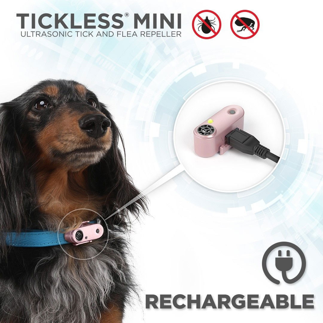 Tickless MINI DOG musta