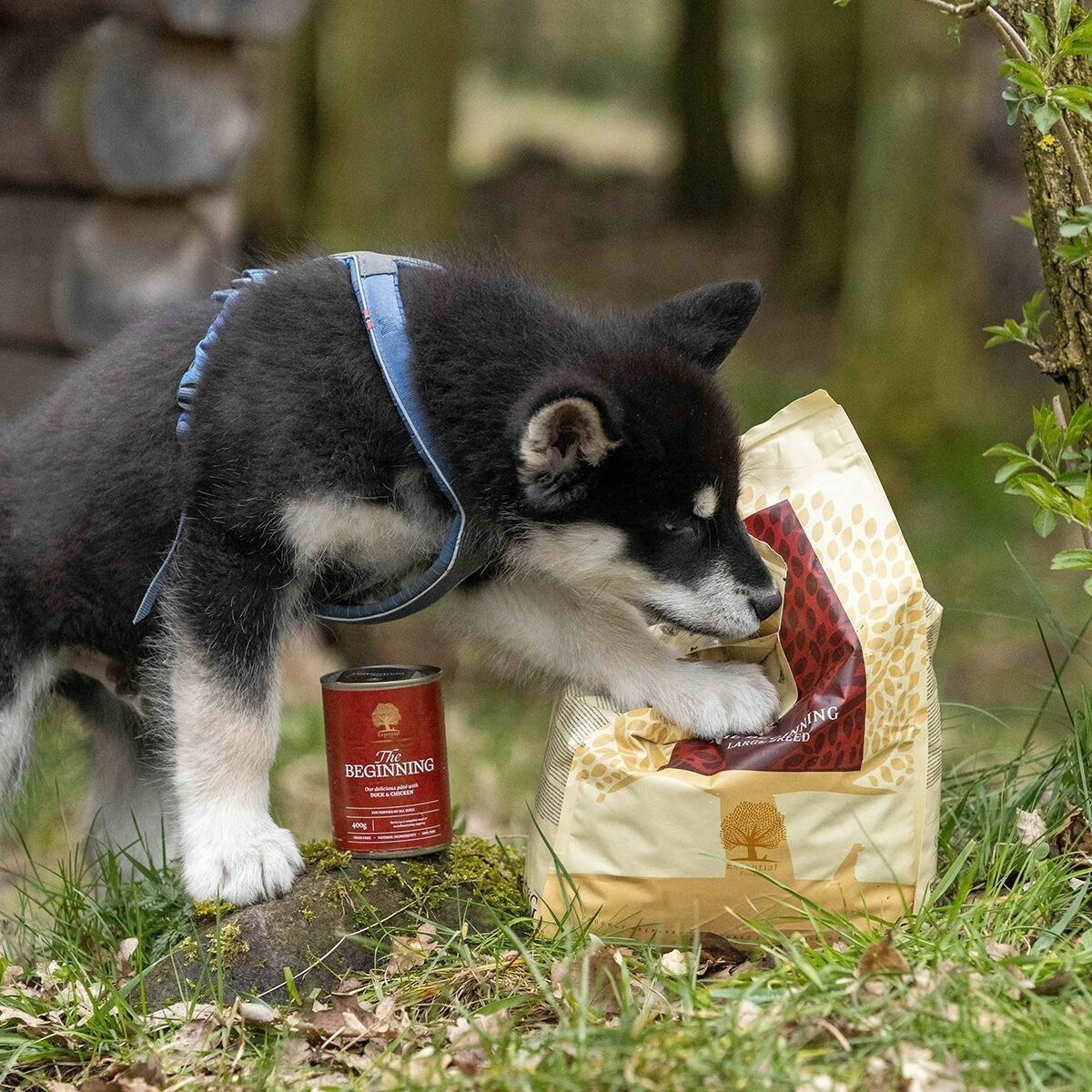 ESSENTIAL the BEGINNING PATÉ 400g