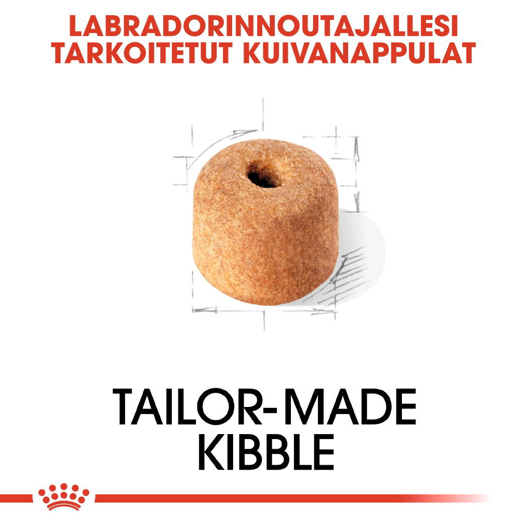 Royal Canin Labrador Retriever Adult koiran kuivaruoka