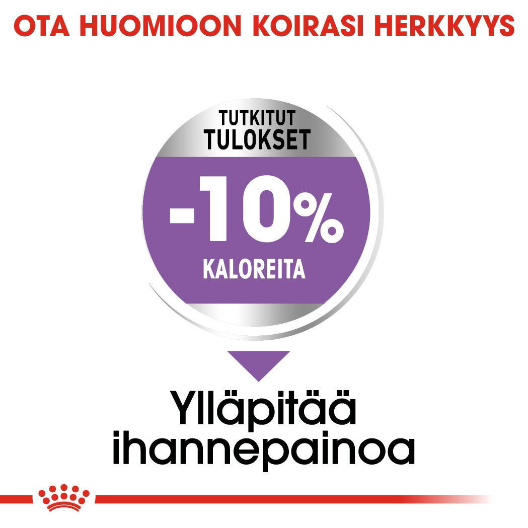 Royal Canin Sterilised Medium Adult koiran kuivaruoka