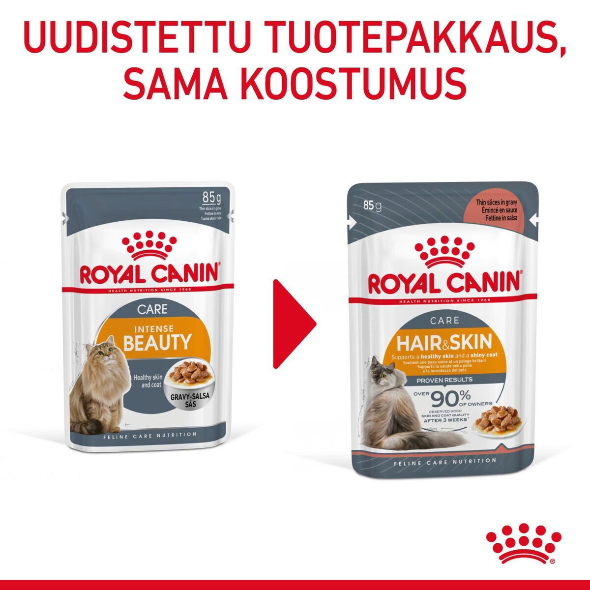 Royal Canin Hair & Skin Care Gravy Adult kissan märkäruoka