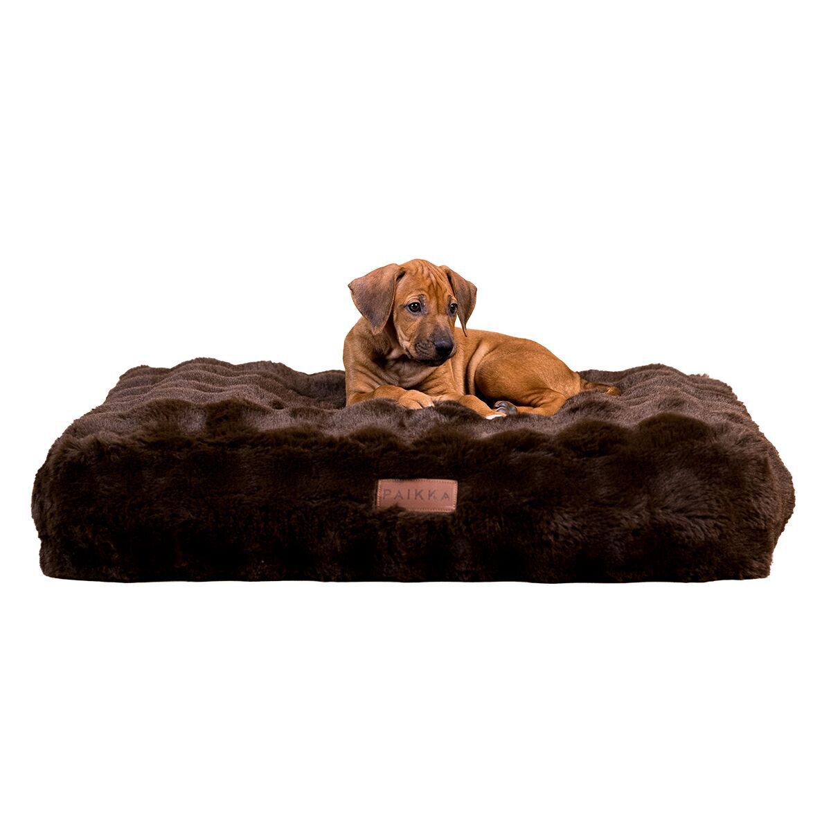 Orthopedic dog bed PAIKKA Lounge