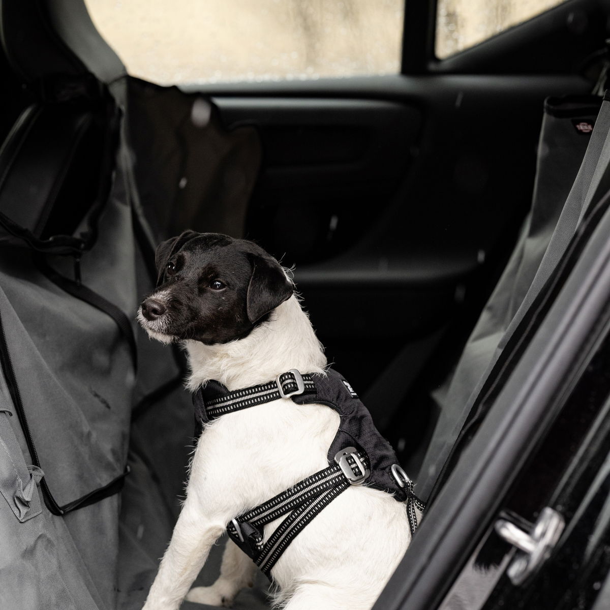 Feel Active autovaljas black