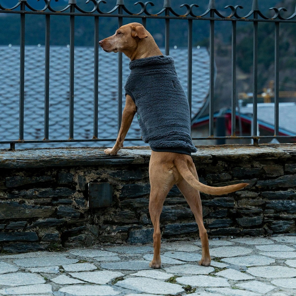 FuzzYard sweater Turtle Teddy, charcoal