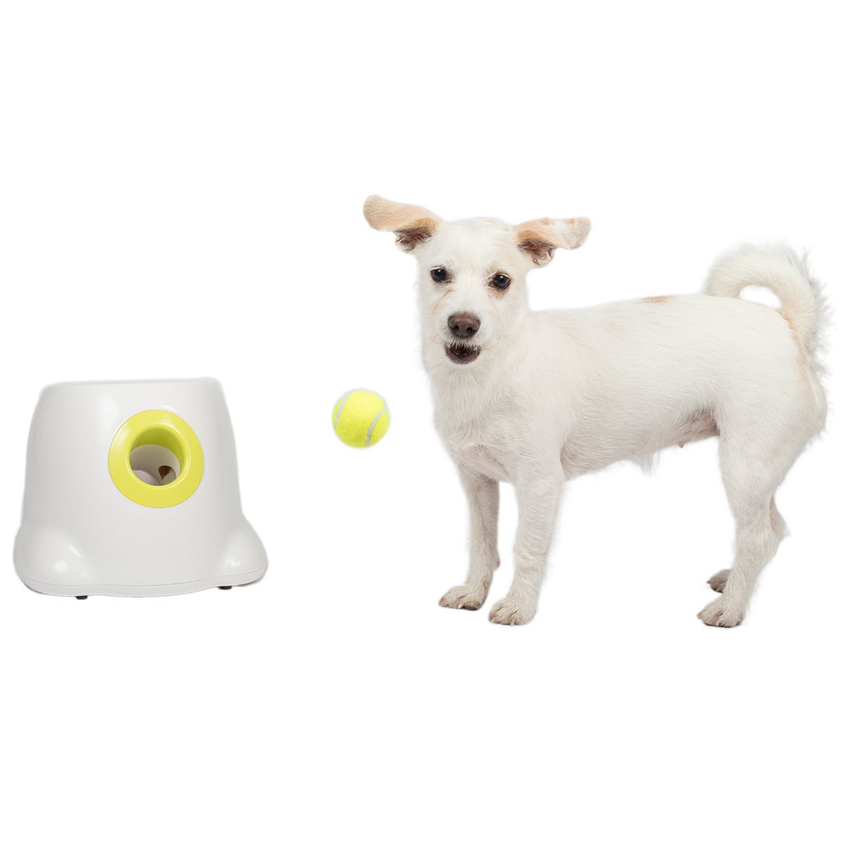 All For Paws Hyper Fetch Mini pallonheittäjä