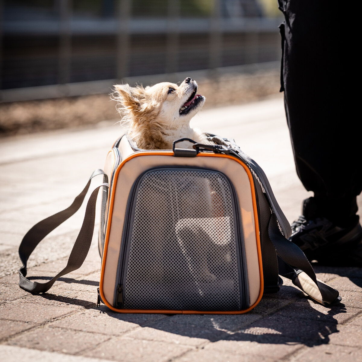 Feel Active kantokassi kahdella laajennusosalla beige